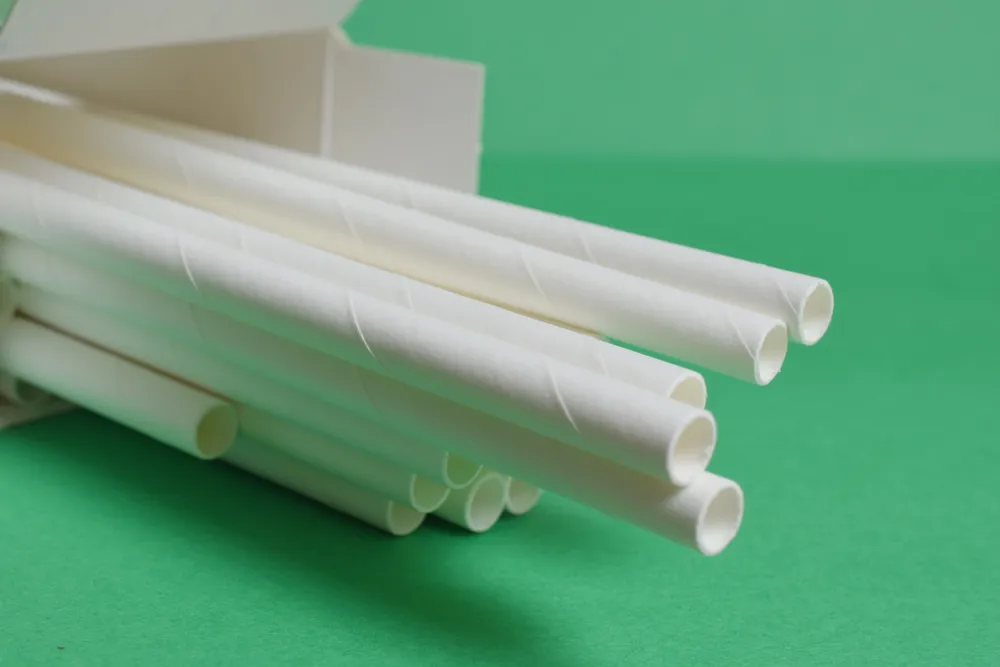 shutterstock 1583898541