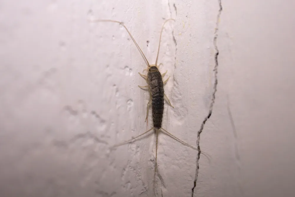 shutterstock 1859147947