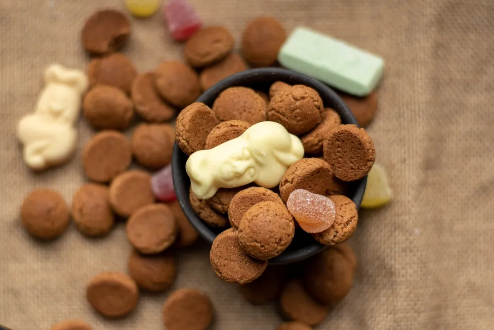 shutterstock 2219253455