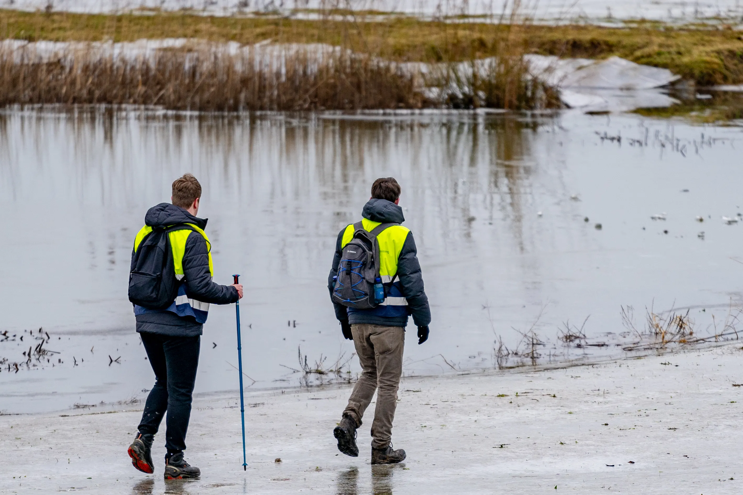 versteeg av producties 6