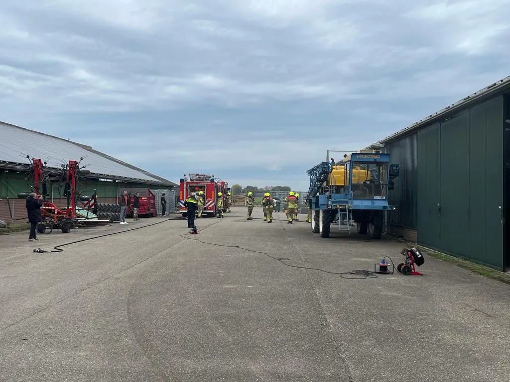 whatsapp image 2023 04 12 at 095016