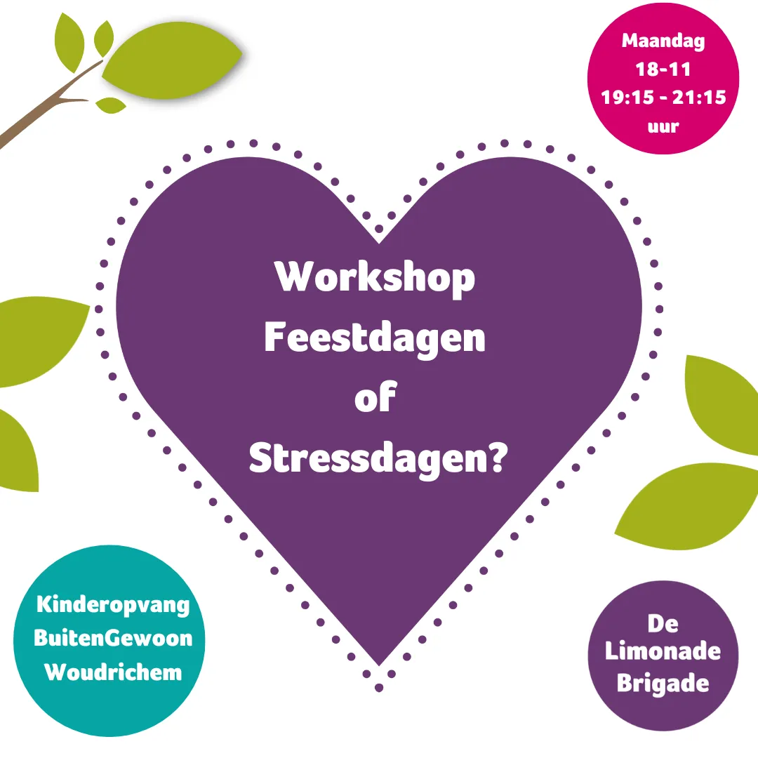 workshop van gedoe naar begrip 20 2