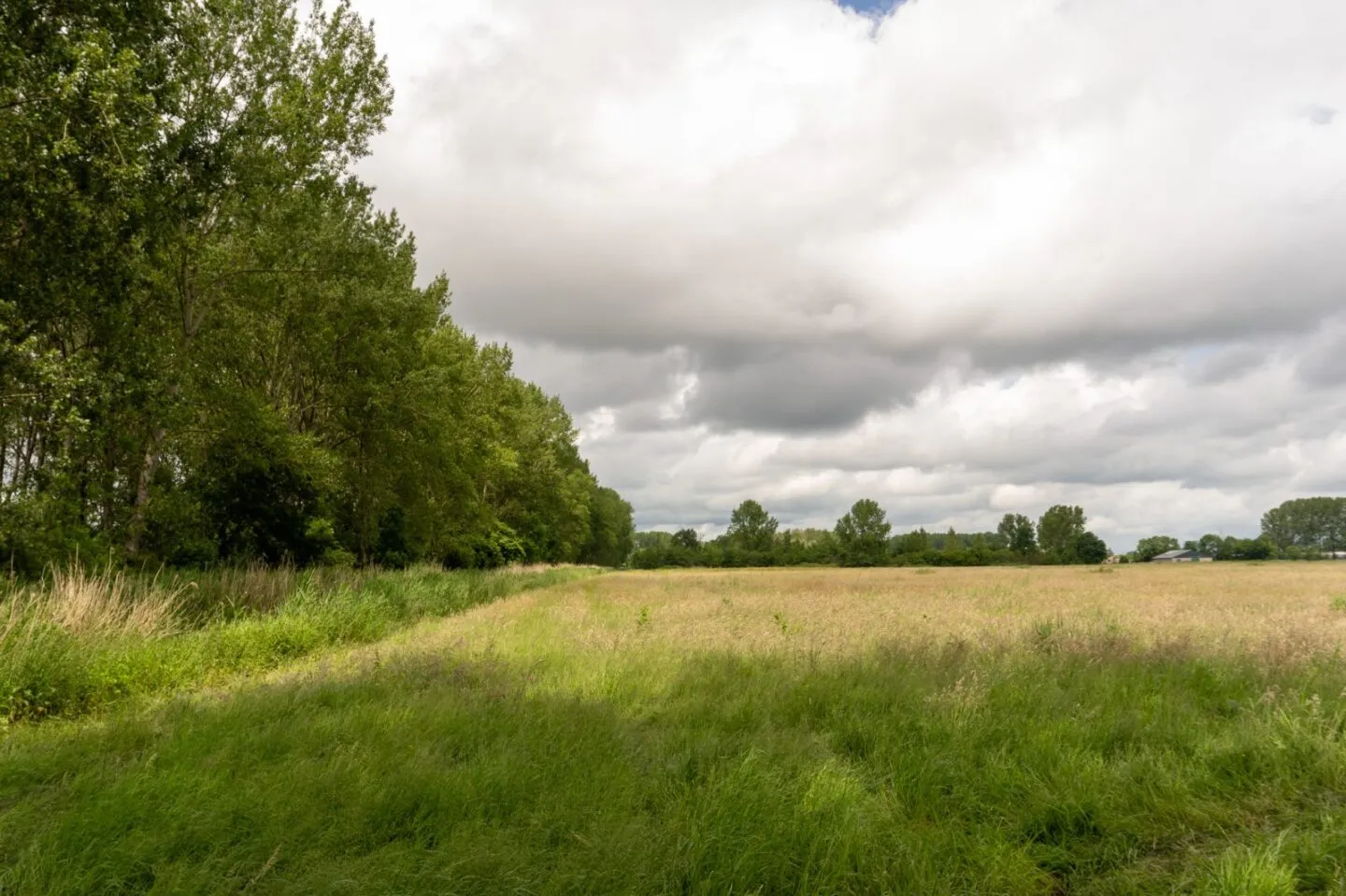 pompveld 3 scaled 1440x0 c default