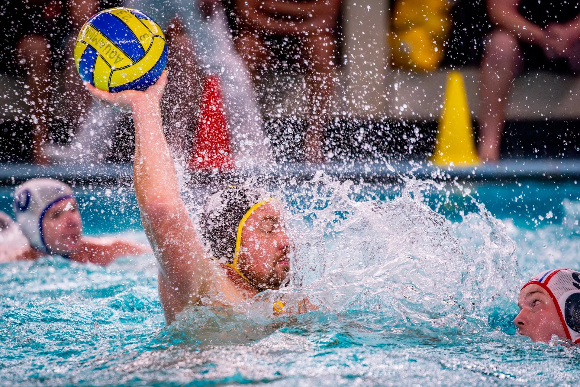 versteeg av producties jv 16