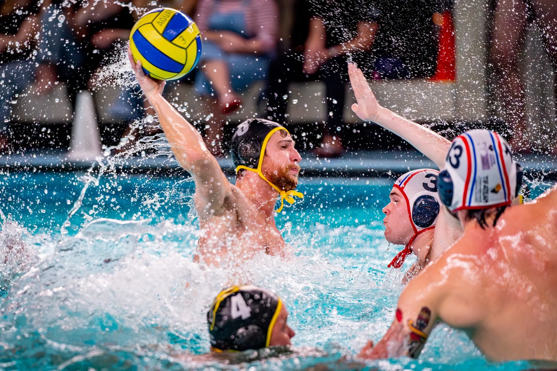 versteeg av producties jv 23