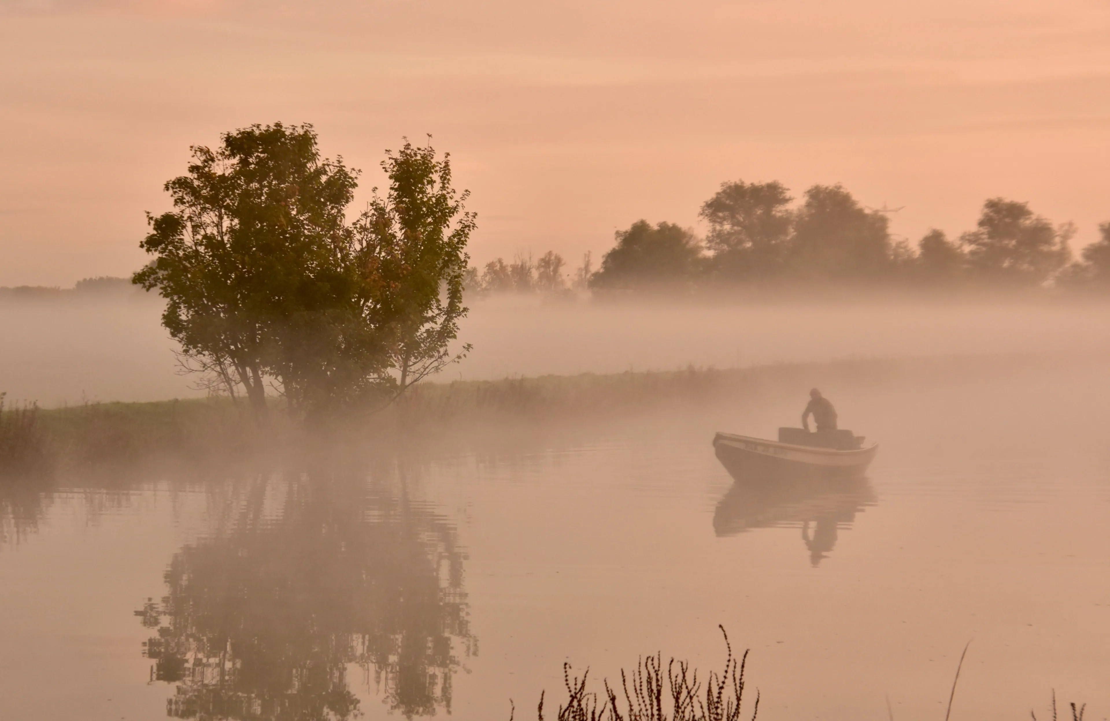 2e prijs leonie van betten
