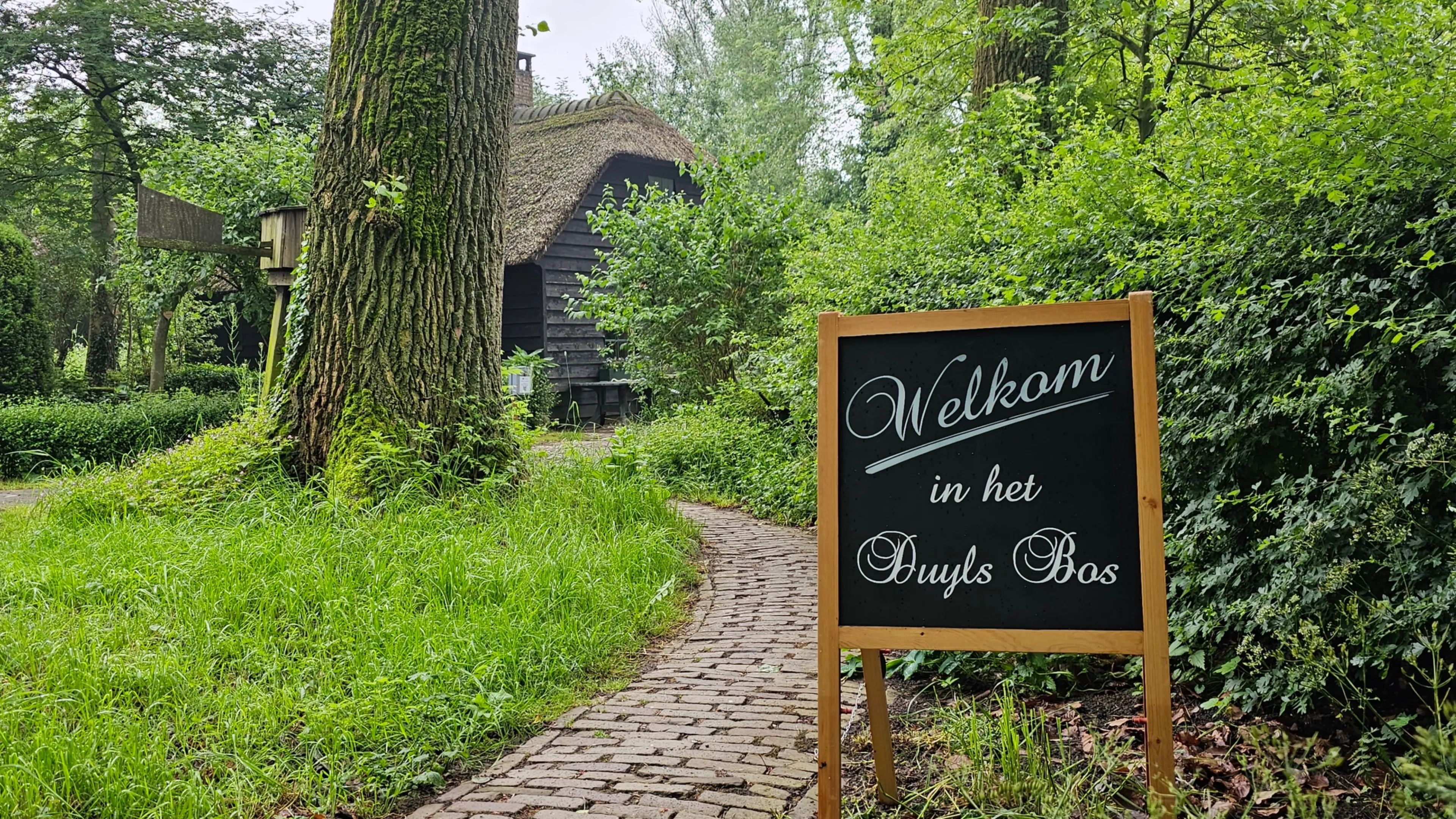 welkon in duyls bos