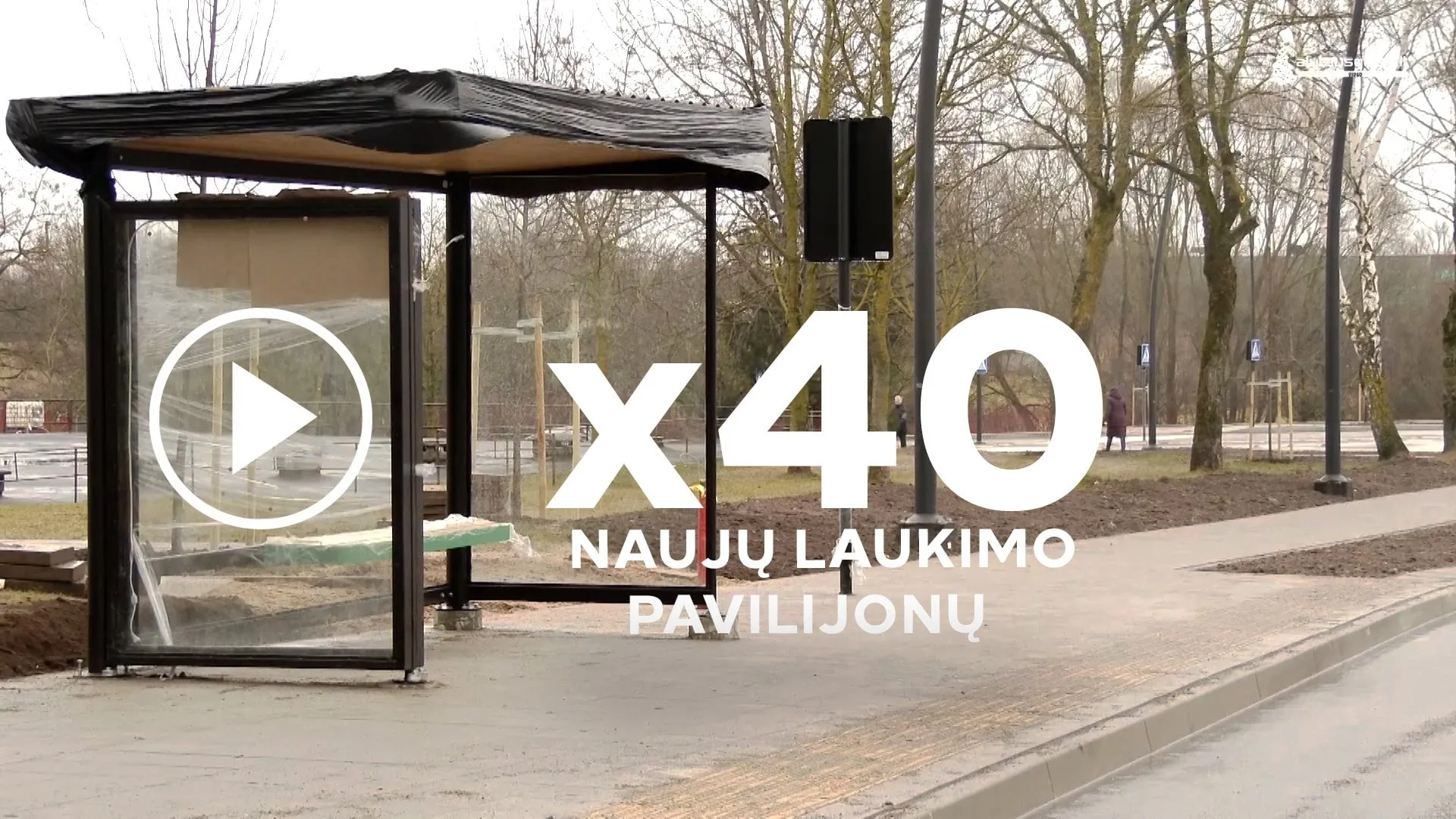 01 05 pailijonai00 00 35 04still0017