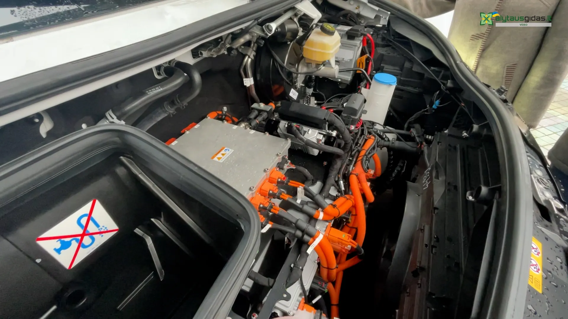 03 po reportazo00 00 21 34still204 1