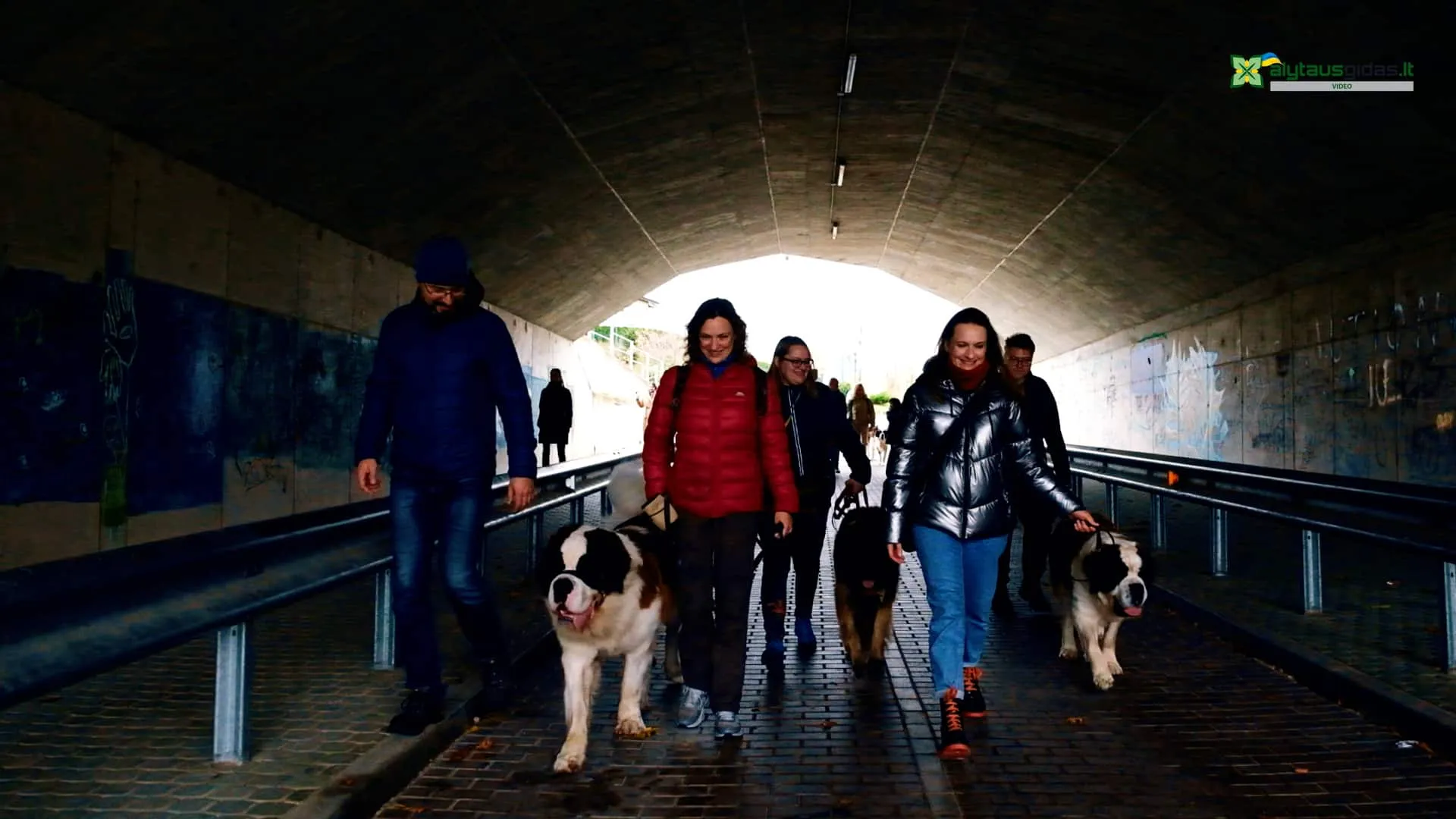 03 po reportazo00 01 05 40still156