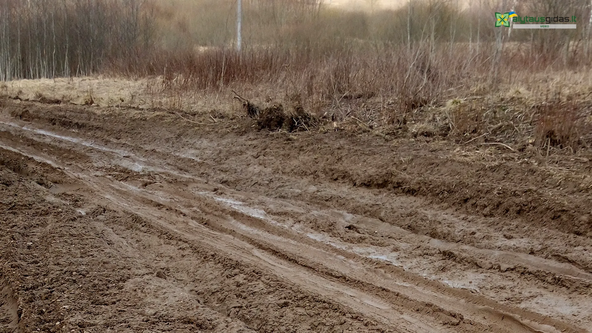 03 po reportazo00 01 16 07still073