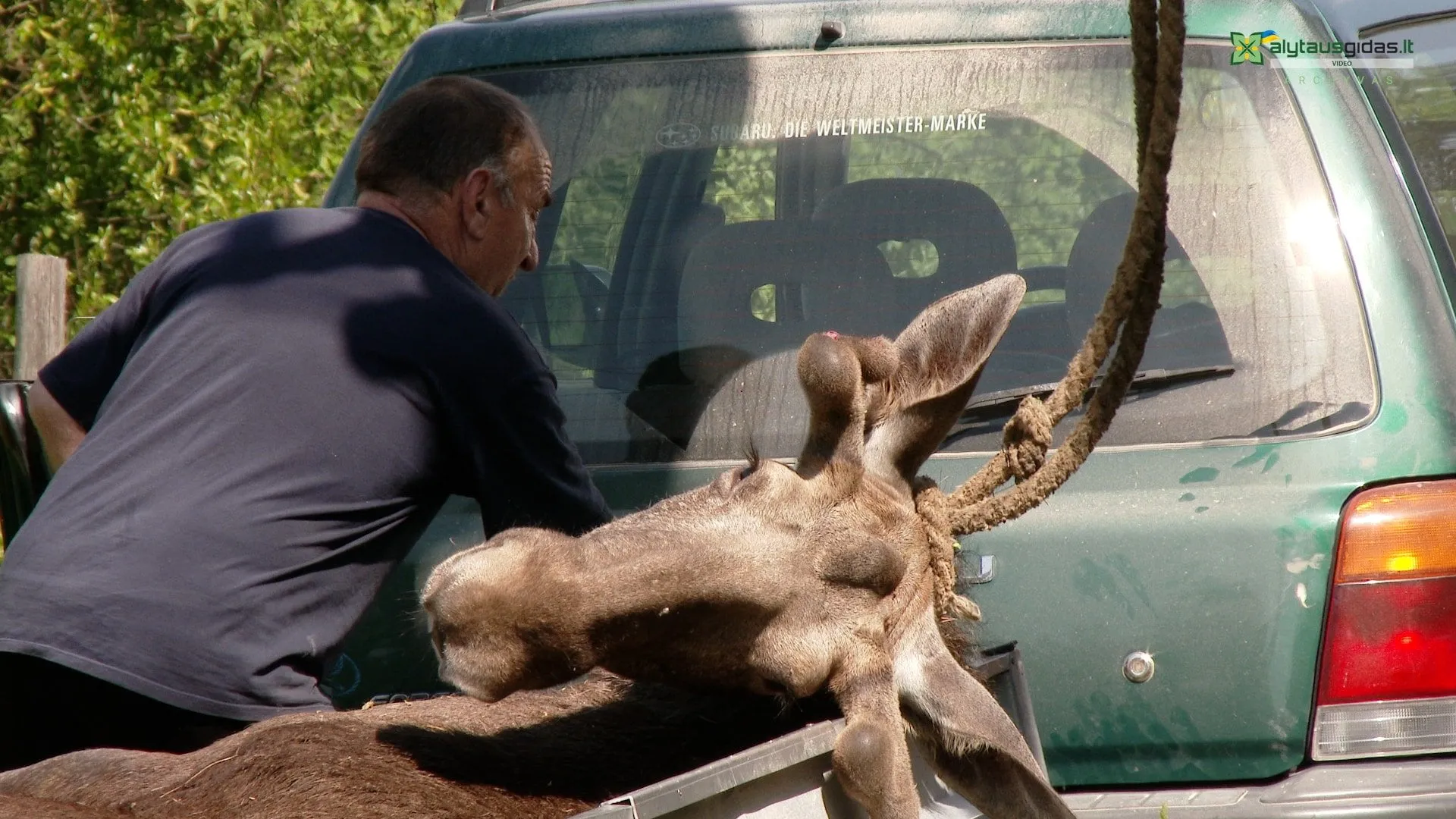 03 po reportazo00 01 42 03still163