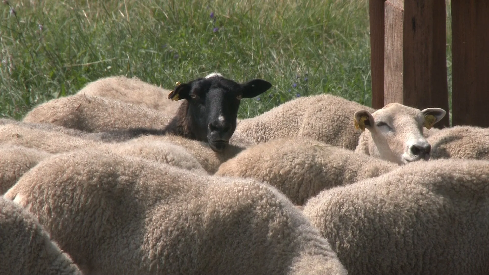 03 po reportazo00 04 26 22still021