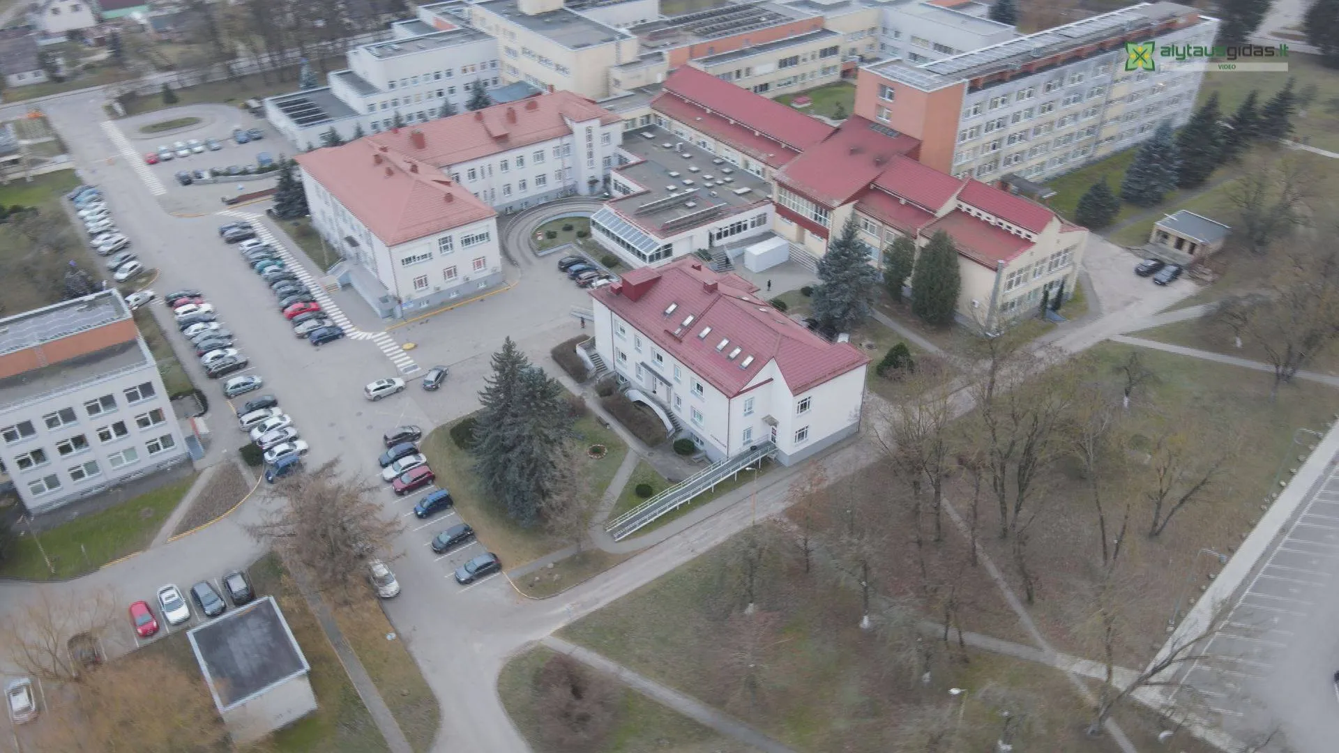 130928545 135463338168202 7197017289258705379 n