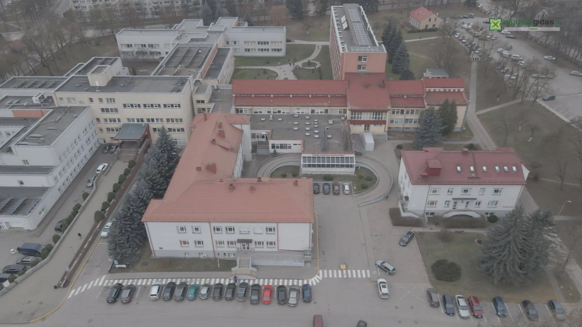 131277643 1608238616044683 7786593649515319227 n 1