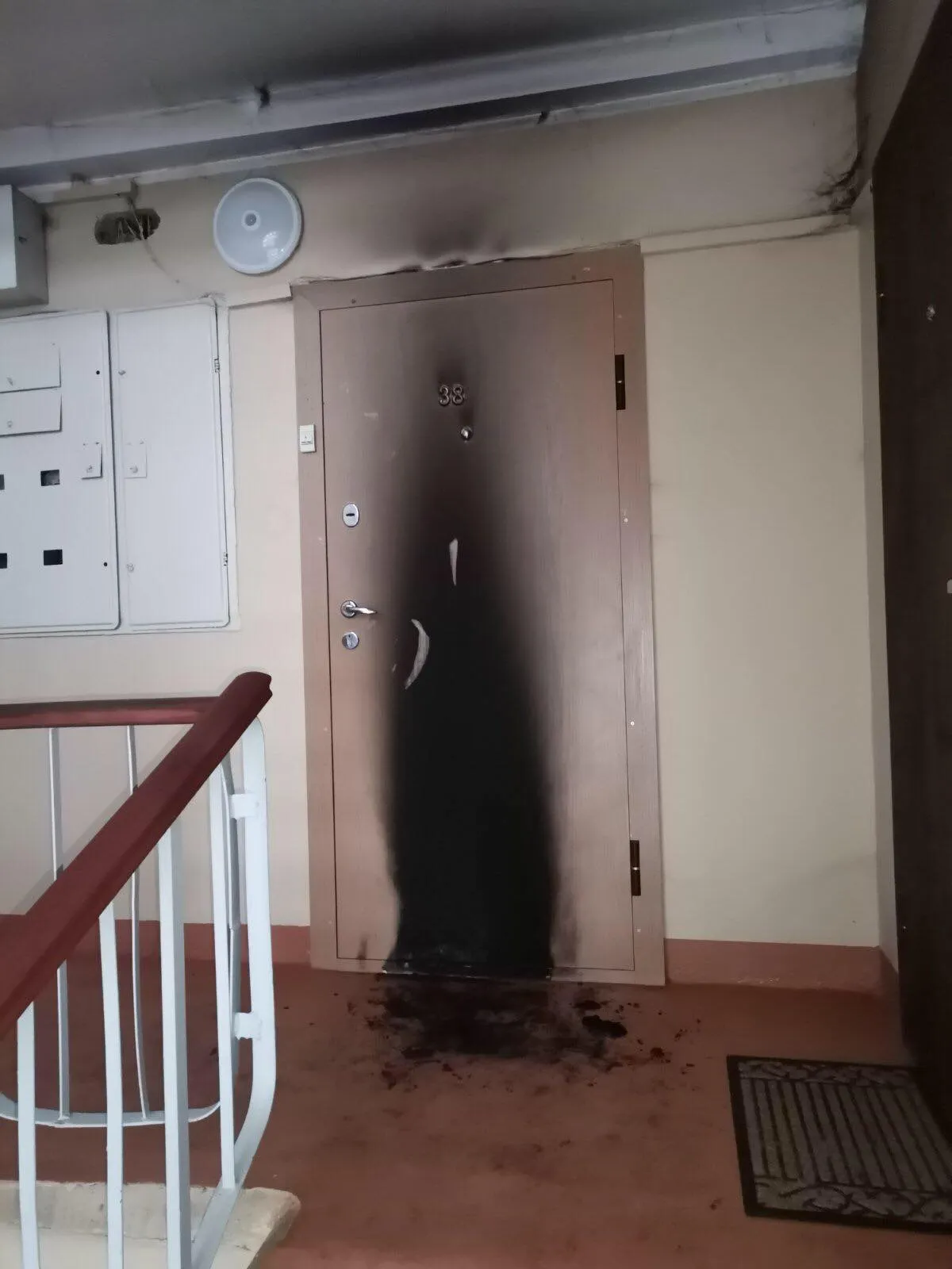 135031862 692784461607960 1398382040976067305 n