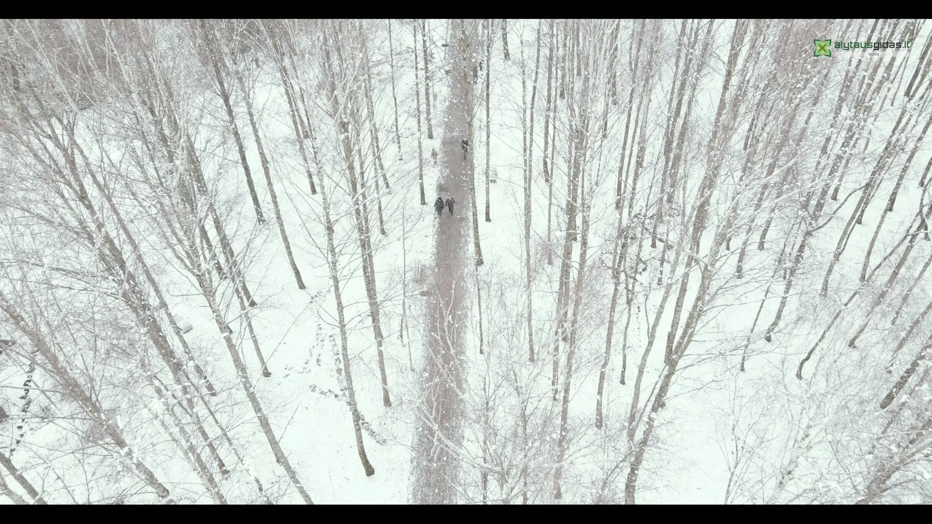 139670684 160543778915353 5319601289980897462 n