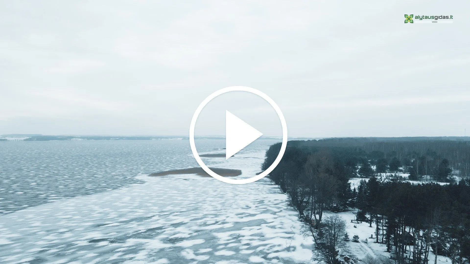 141660351 4021857891178790 5498369360970056007 n