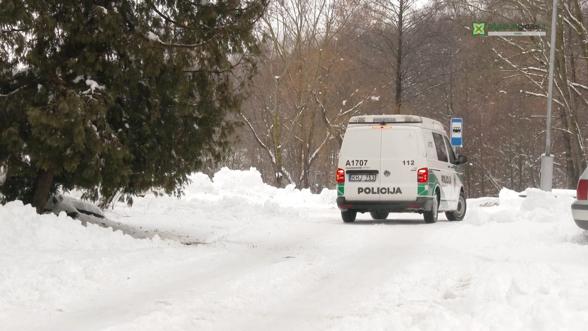 143040906 217155630049660 495620317906680958 n