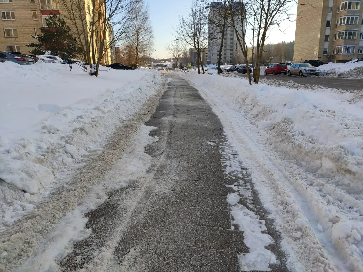 146278801 912060809364771 1389448009791892594 n