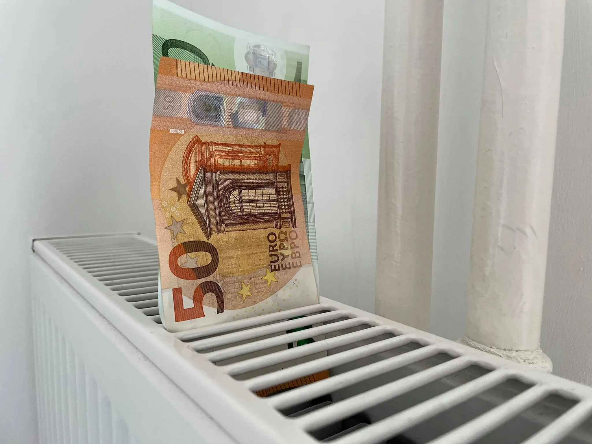 178162652 836071893934567 305482865324393578 n