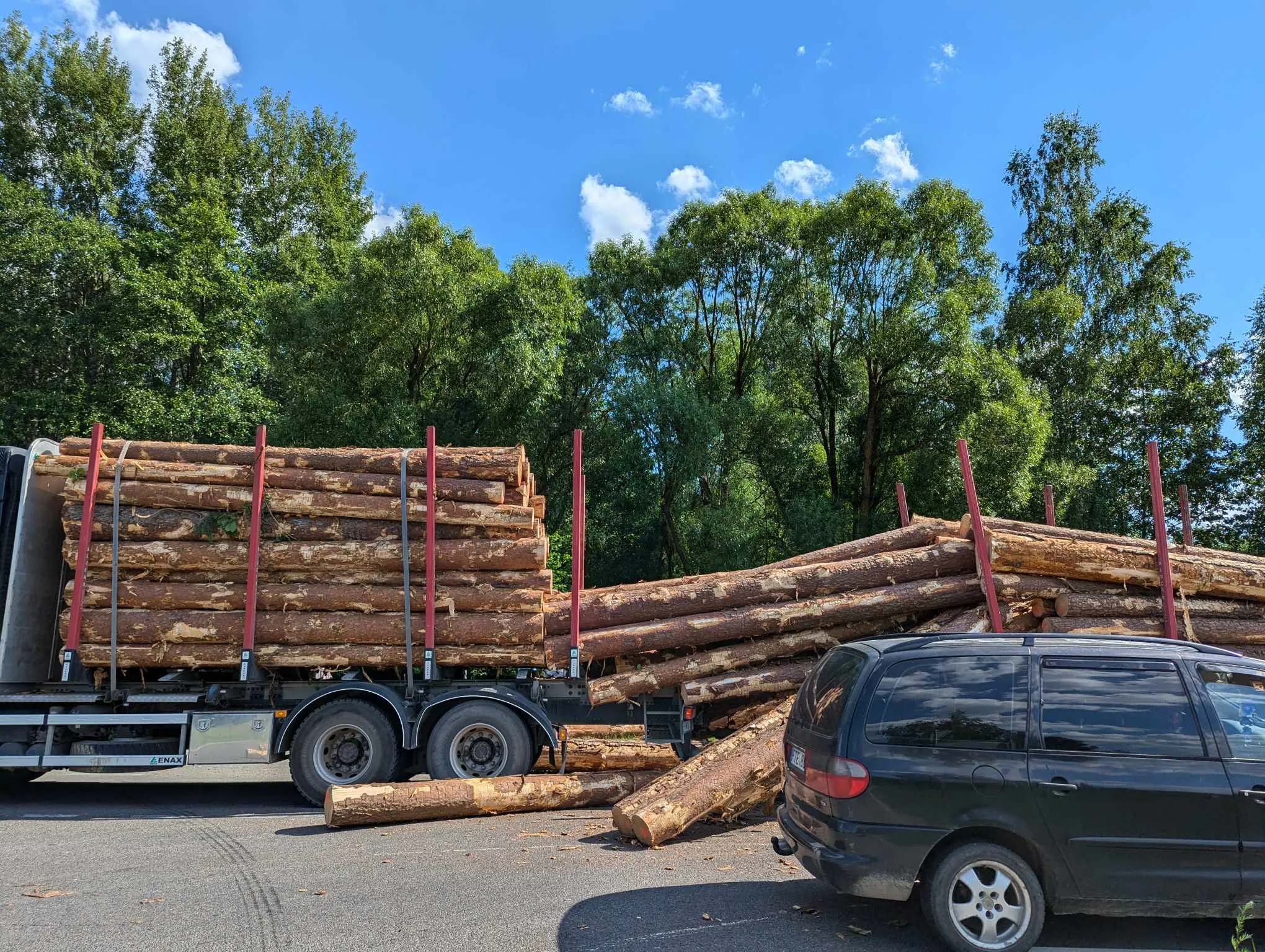 1a42f76d 9ad7 485c 973f af0bea43aec5