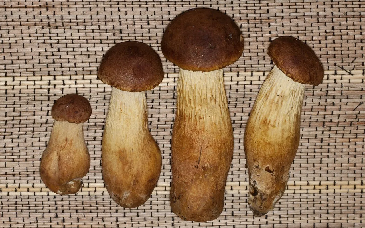 20111202220937 a9b22fbb me