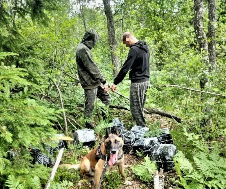 20230628 cig kabel pix1s