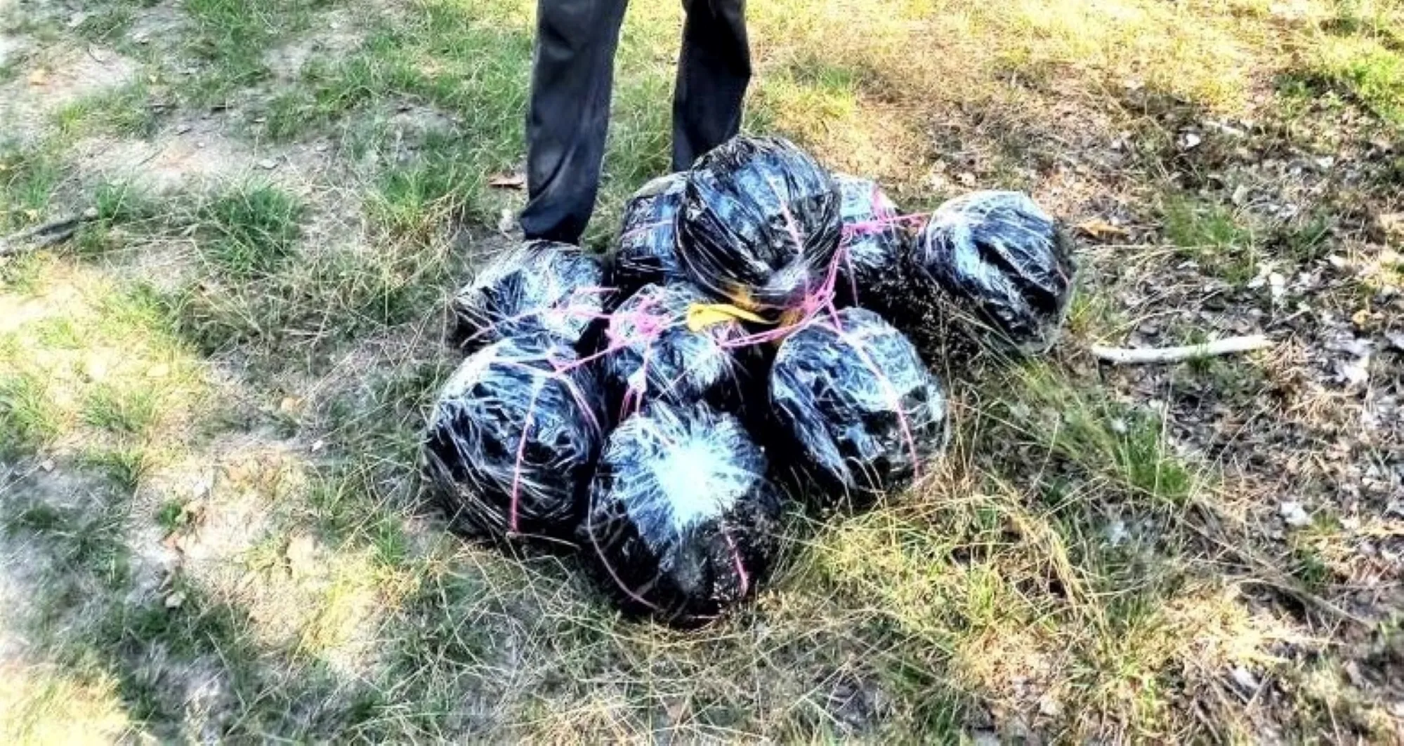 20230825 cig kabel defacedss