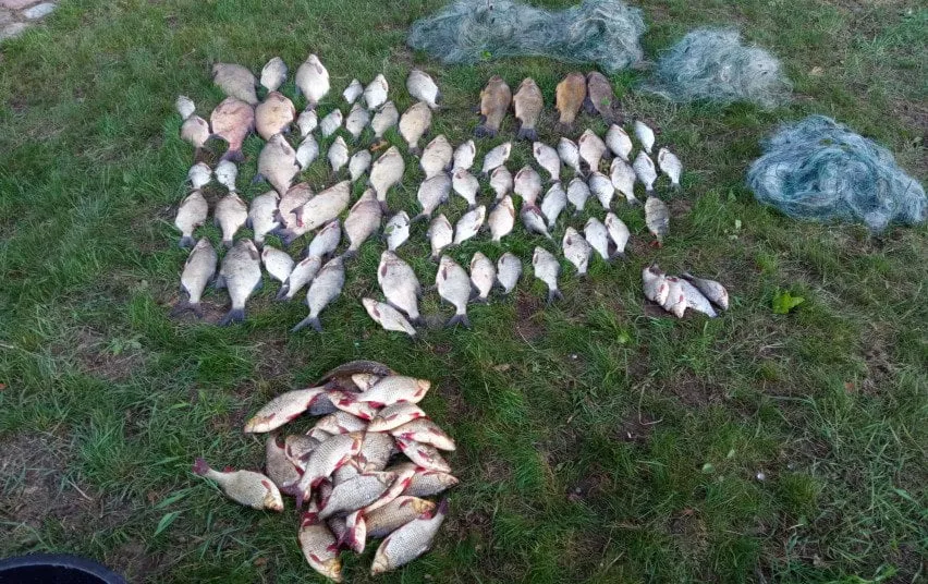 2634 b40c43ea752956b8a387b6f61dc65b01