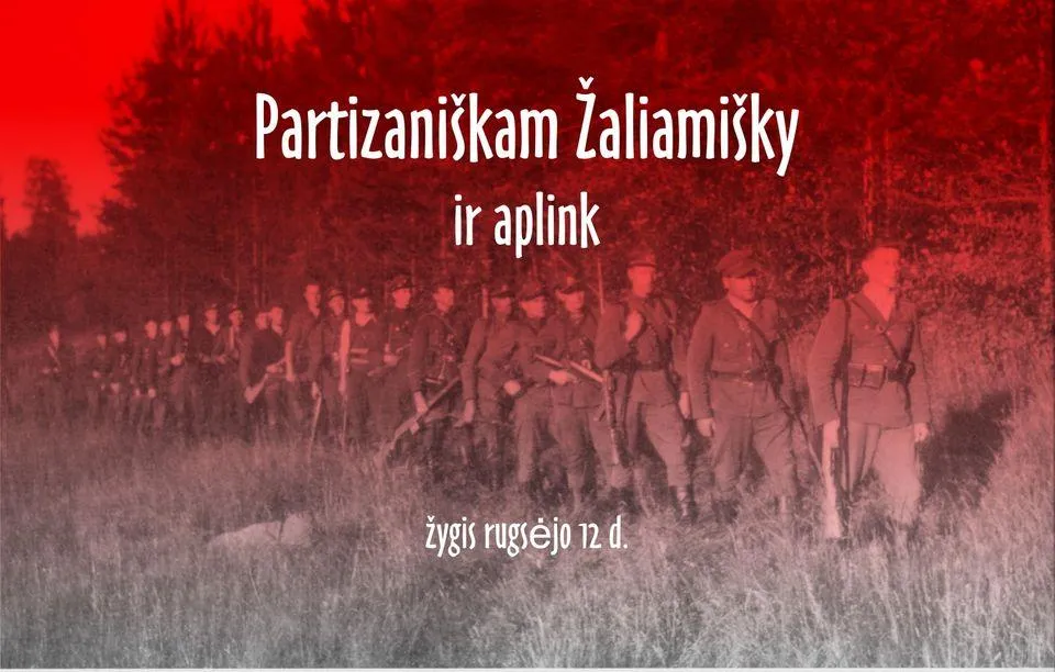 263d6194