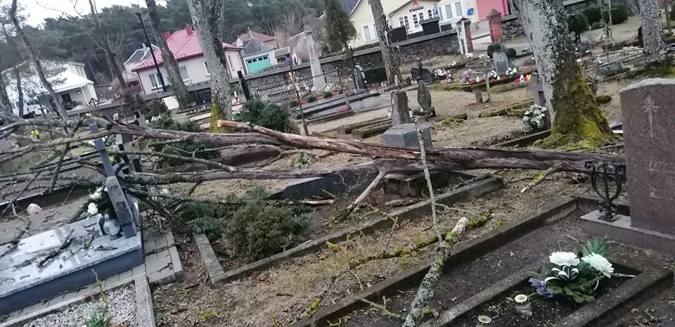 273839709 3155285924791357 7198049966672585563 n