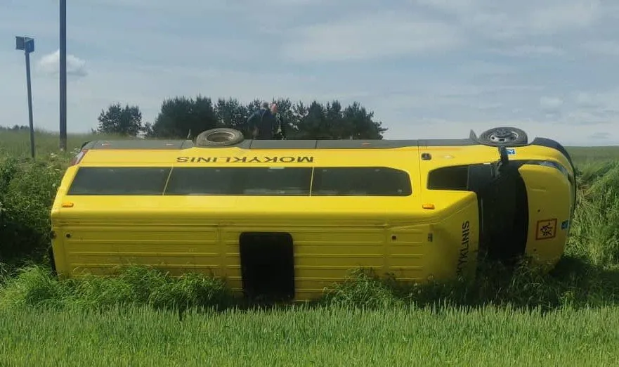 288147237 775346946794106 6233723582199177822 n