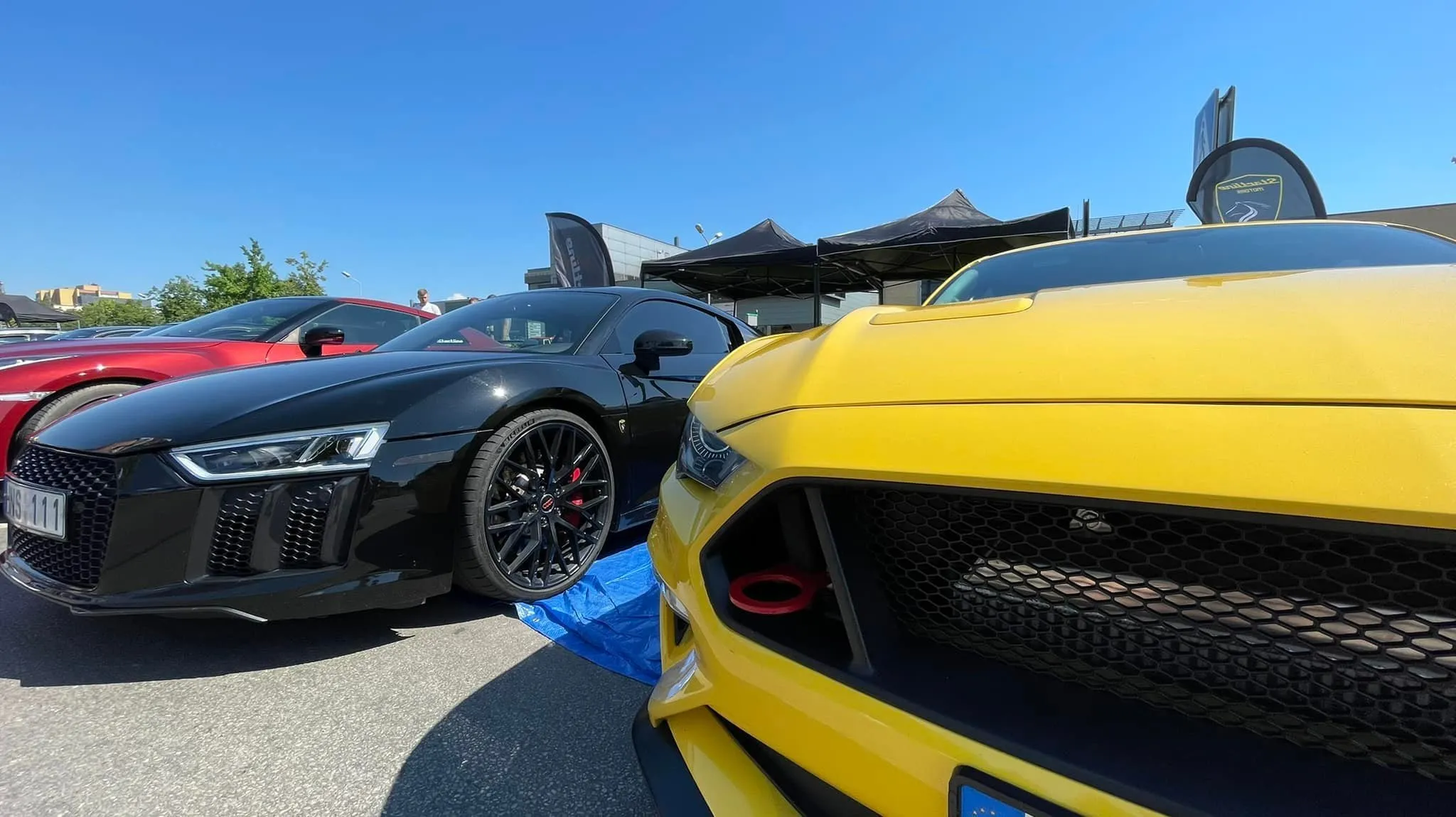 288443427 5785274501500389 3081722900701591495 n