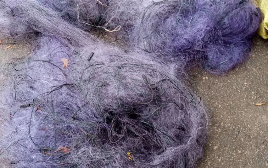 3003 ff217106c356d138904c50cdd4a37fdf