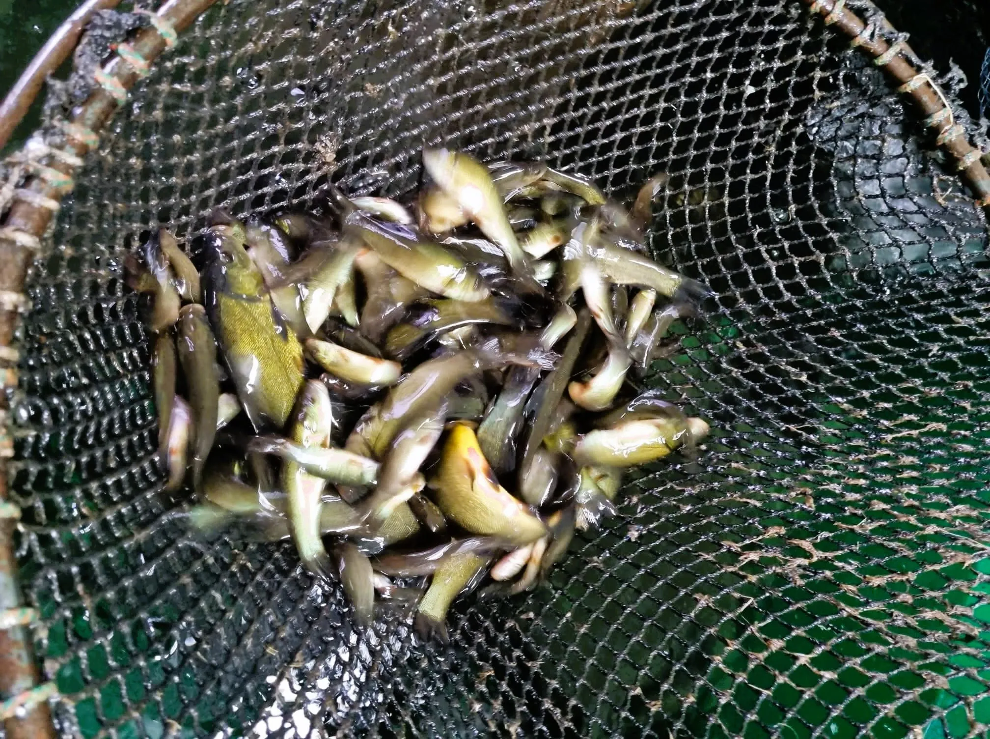 307601570 5820616451295734 5831639940755141358 n 1