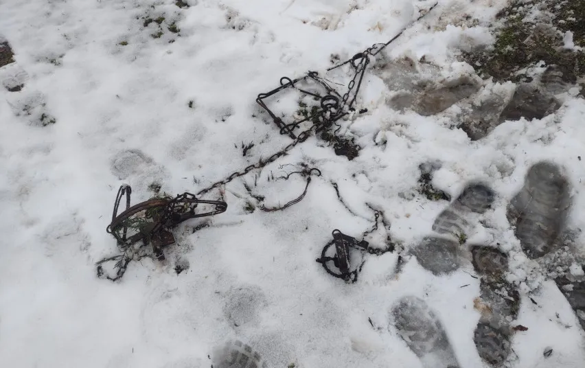 3229 909207889aebe90dcafcb5df3bcaed71