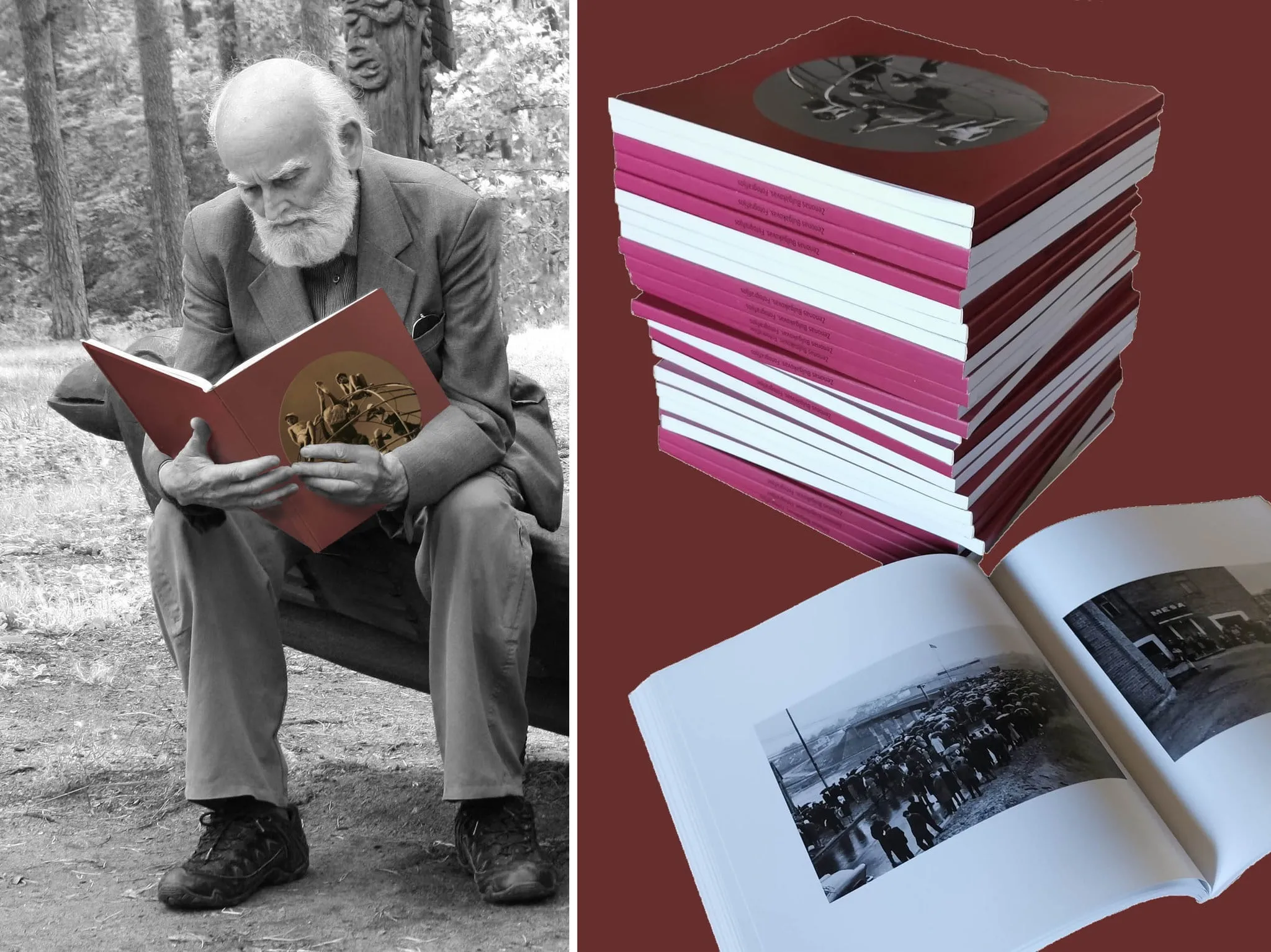 343294655 145336751667475 2267777580412174837 n