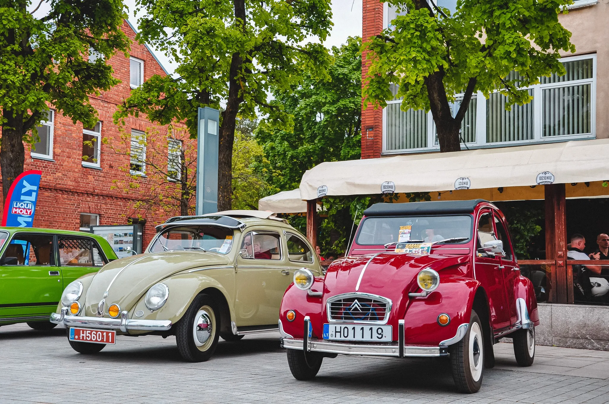 347411857 6150147271699333 2983693819778629204 n