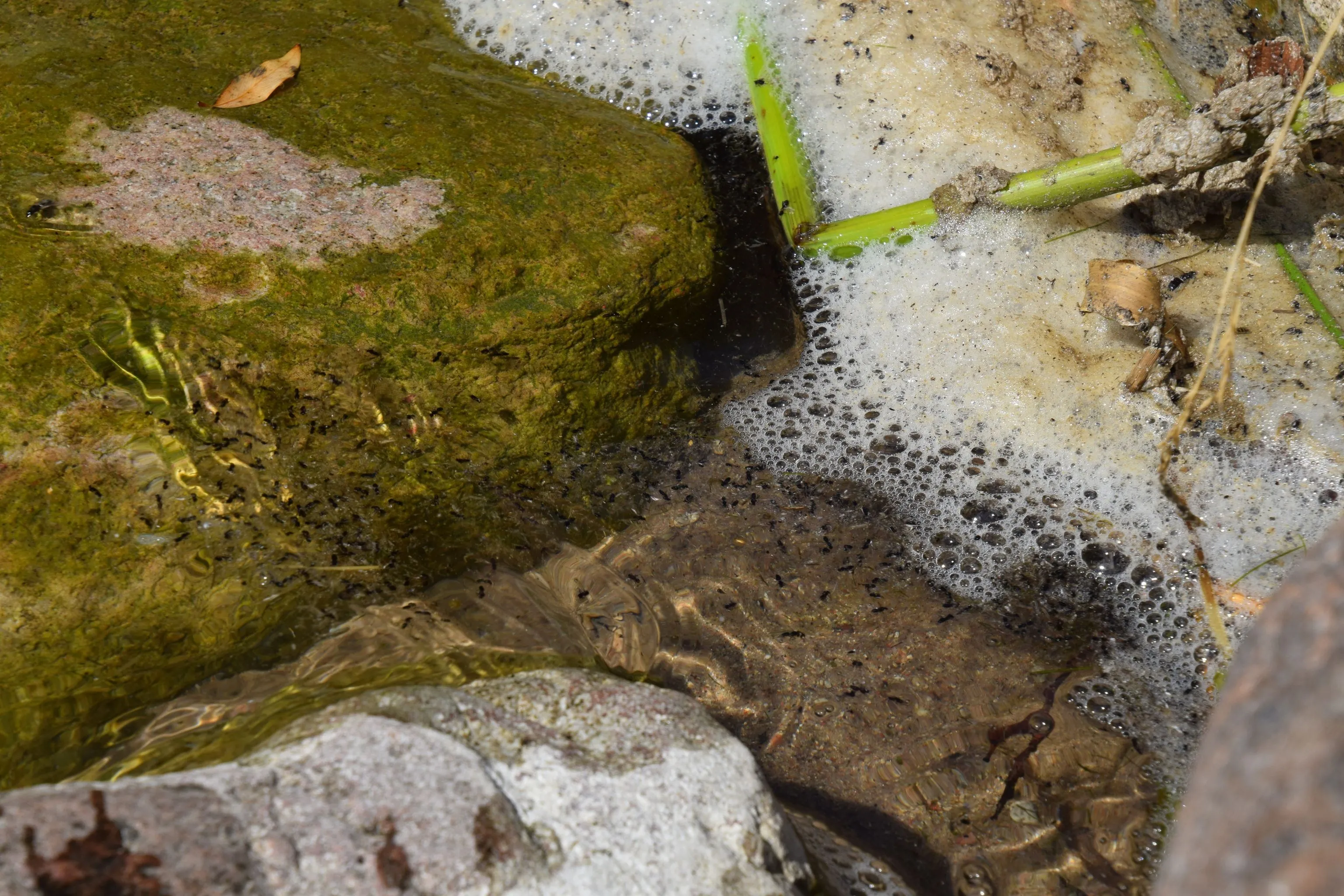 356453357 1446181695924099 7025557780841696964 n