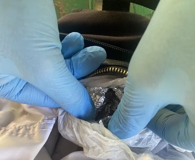 381022316 959146168490700 8253840392419950641 ns