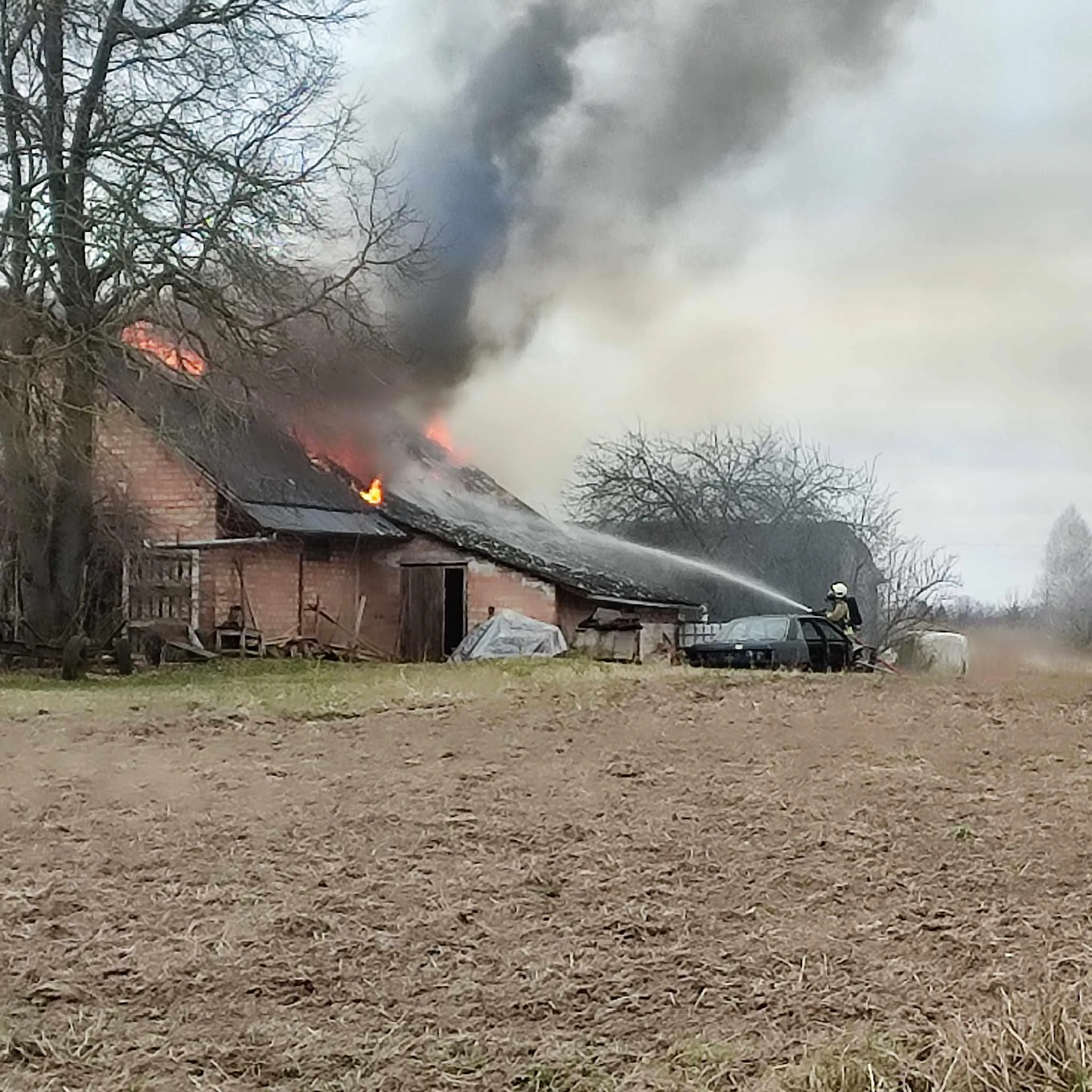 61e1c12b ee46 4170 93e7 eb2c89375b61