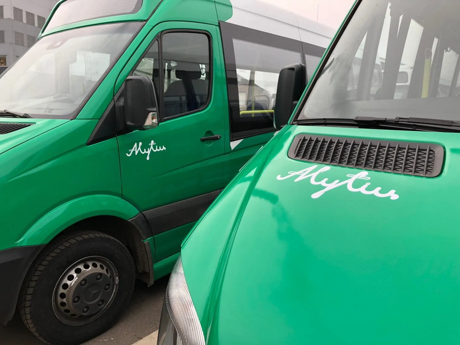 851243409 kautralytus