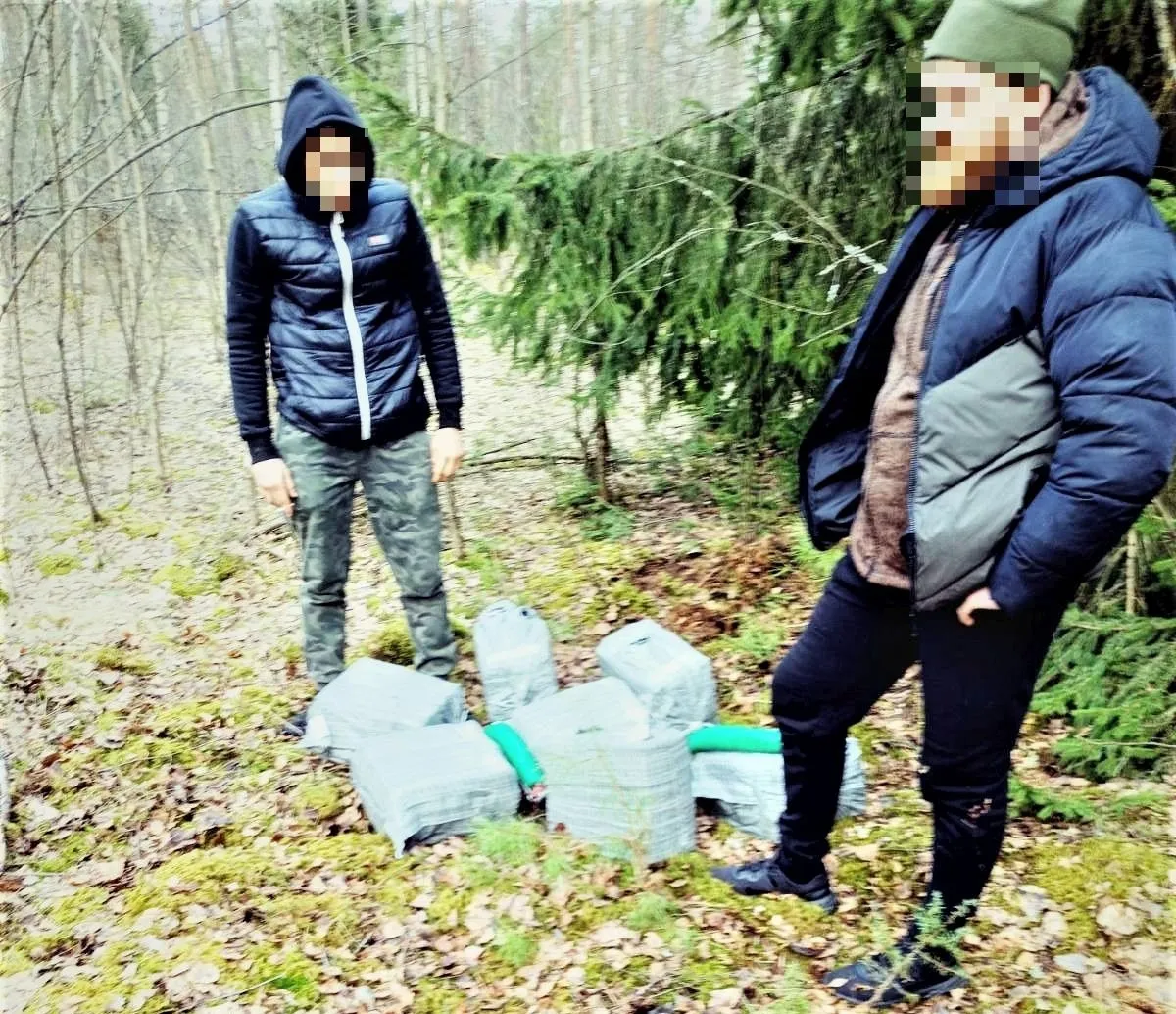 alazd20230322 cig kabel pix