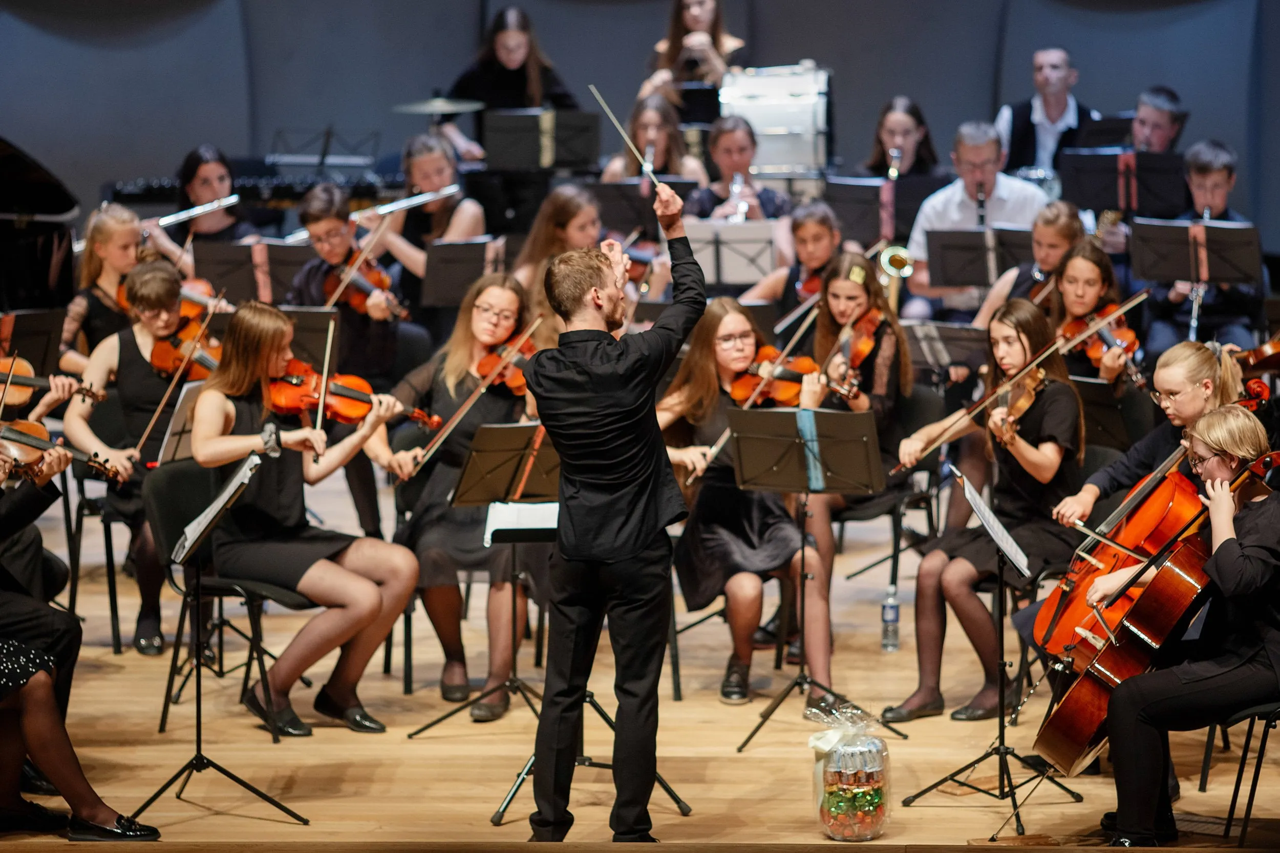alytaus jaunimo simfoninis orkestras svajone