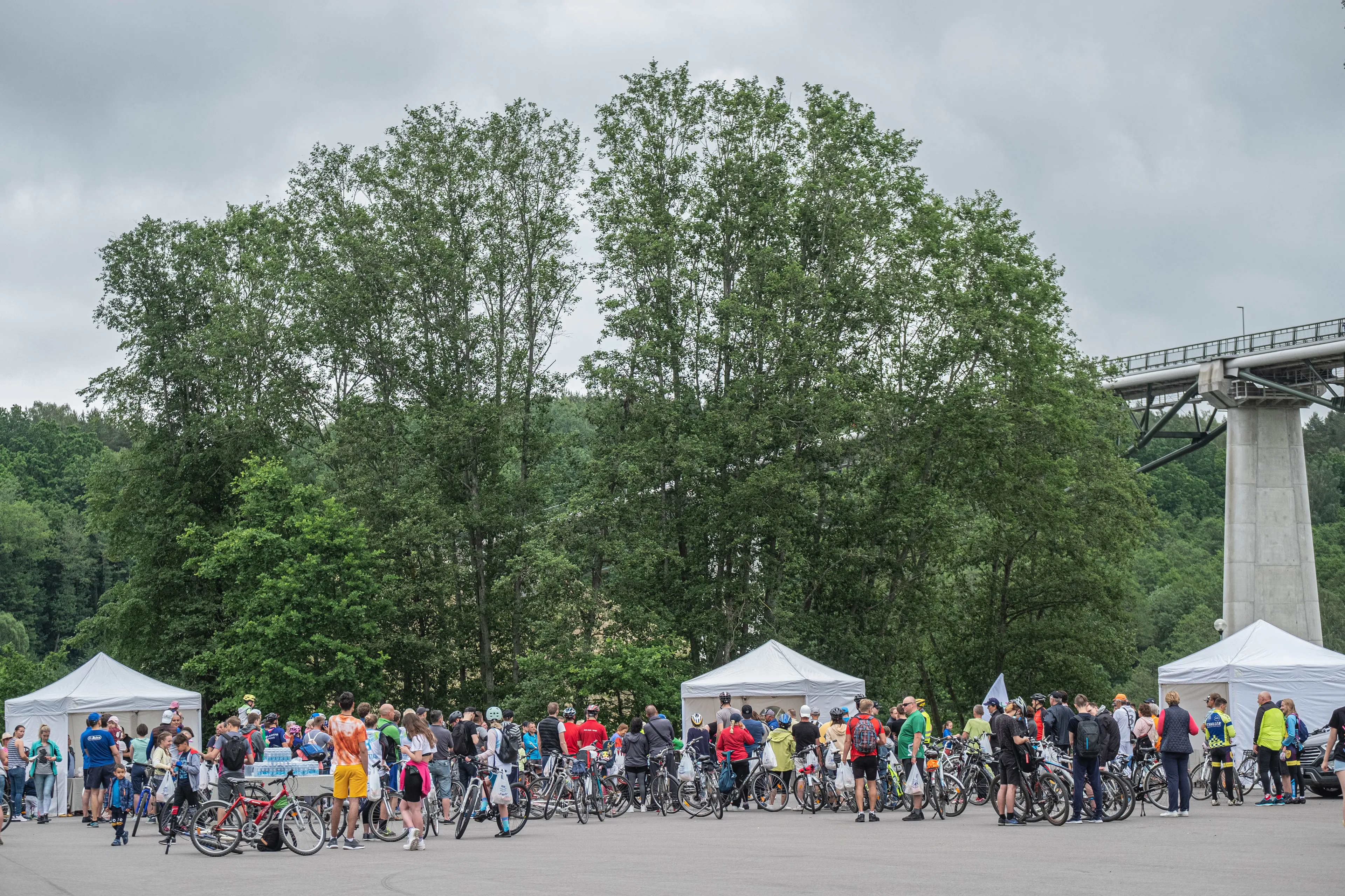 alytaus miesto svente 2020 art 51