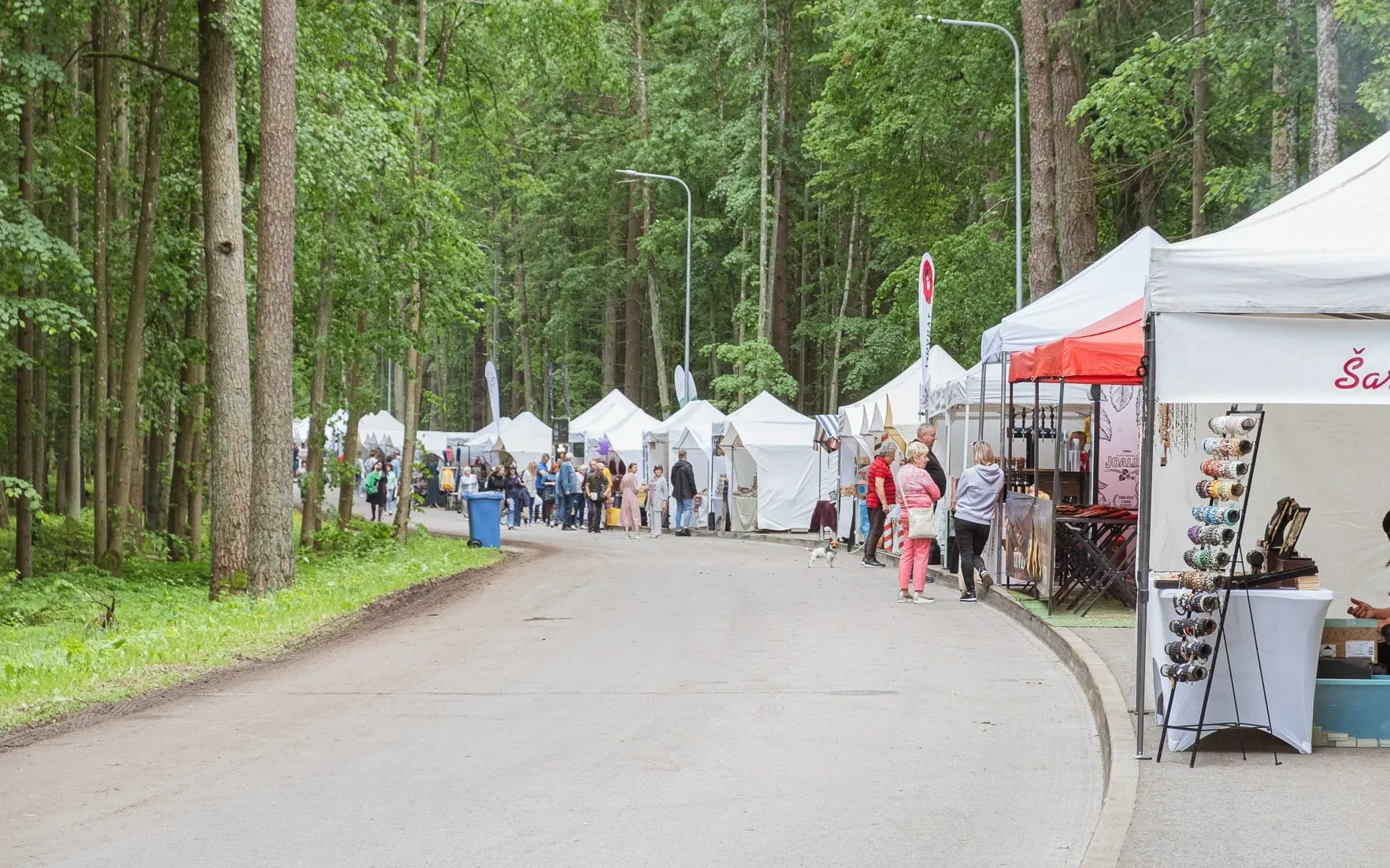 alytaus miesto svente ams nuot 1