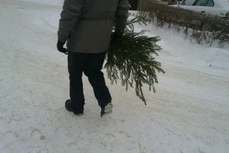alytausgidas 201012172993