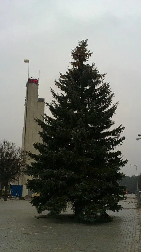 alytausgidas 201112021761