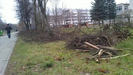 alytausgidas 201112095461
